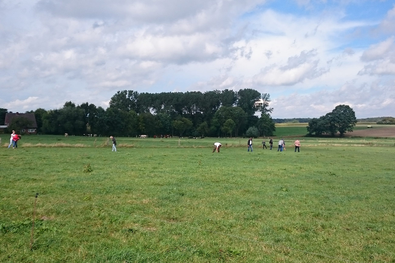 Treckertreffen 2016